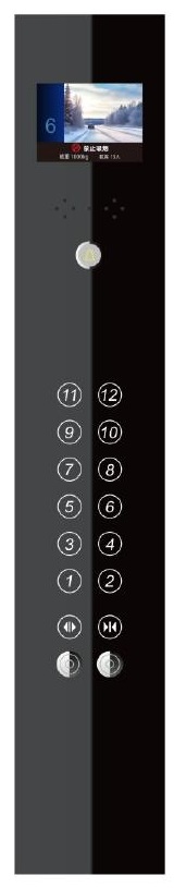 Botonera COP FJ-B-CZ39